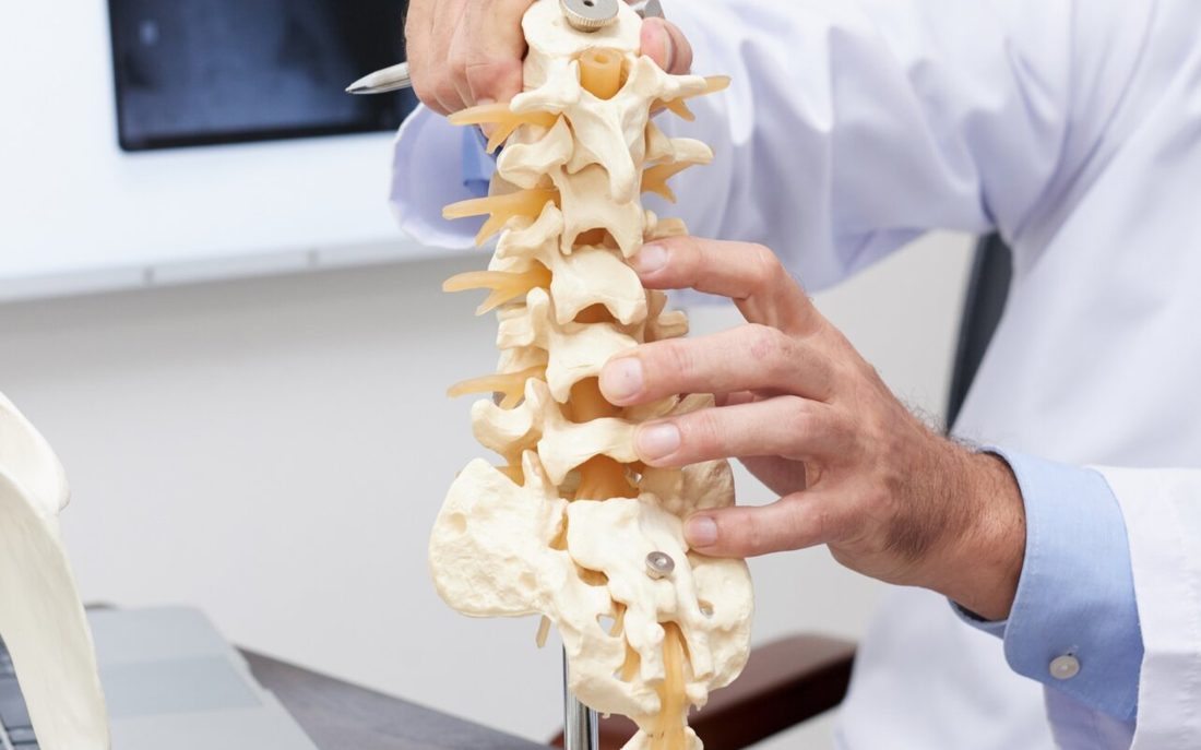 Modelo anatómico de columna cervical sobre el escritorio